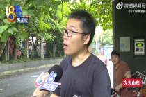 骑车被树枝砸倒又撞伤行人 树木权属有待确认