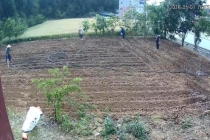 妈妈去城里住院 邻居帮忙把地种好了 邻里温情暖人心