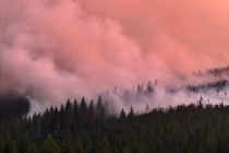 老太给离世儿媳烧纸引发山火获刑 自首认罪从轻处罚