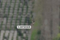 上海墓园“采花大盗”被抓 盗卖祭扫鲜花触法