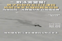 当地回应男子拍到疑似鳄鱼动物 正在联合排查中