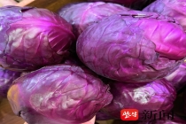 紫甘蓝或成心梗治疗“黑马”，江苏团队最新研究登上国际期刊