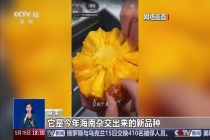 这些网红水果的命名就是消费陷阱 误导消费者