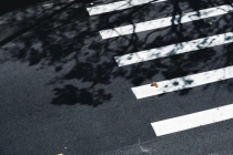 媒体：从反核到返核暴露绿营丑恶嘴脸 政治算计牺牲民生