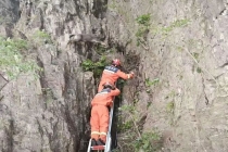 两只中华斑羚被困半山坡 消防员施救 成功转移获救