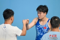 陈艺文夺得女子3米跳板冠军 全国赛第五日佳绩