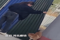 女子路遇小狗被卡住 害怕仍上前帮忙