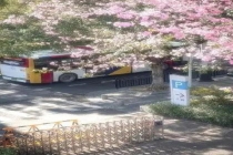 韩国网友偷广州街景图 误导海外认知