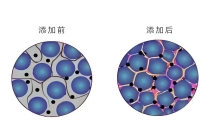 科技赋能纳米材料革新：纳米二氧化钛在锂电正极材料中的应用