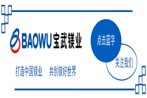 合铸镁好生态 共塑镁好未来｜宝武镁业出席2026镁产业链及镁市场论坛 共筑产业新生态