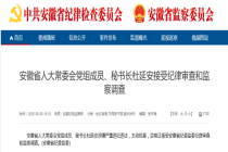 安徽省人大常委会秘书长杜延安被查 主动投案接受调查