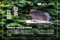 护一方生灵 紫金全球矿山共荣映像
