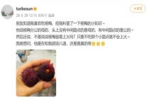杨梅分公母吗 专家解答真相