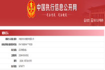 河南水投兴洲港务公司被执行5875万元