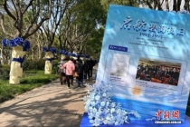 上海海葬35周年 近10万位先人归海 生态安葬渐成风尚