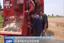 河南麦收关键期遇降雨 收割机够用吗