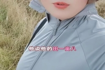 官方回应湖北收麦遇“大小亩” 历史遗留问题引关注