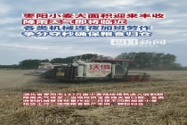 凌晨3点村支书一声吼：雨前必须抢完 连夜奋战保丰收