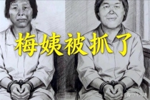 梅姨被逮捕是一个标志性法治事件 正义终将到来