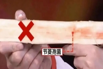 “清明蔗毒过蛇”是真的吗 霉变甘蔗需警惕