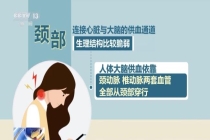颈部这些“危险区”不能按 按摩不当可致瘫痪