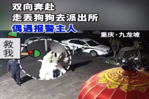 走丢狗狗去派出所偶遇报警主人