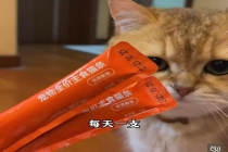 万物一口公布猫条检测结果 未检出三聚氰胺