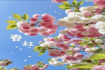 今日“春社”：1不洗、2不烧、3要忌 传统习俗知多少