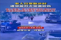 老人散步被邻居家烈犬咬伤 禁养犬惹祸引发关注