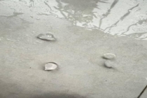 广州市区下冰雹 多区发布橙色预警