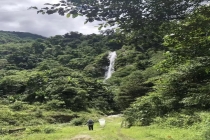 中国科研人员发现99个新物种 青藏高原生物多样性再添新证