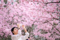 警惕“私人伴游”等变相旅游服务 新型旅游消费风险需注意