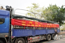 广州南沙向梅州平远赠送20吨特色甘蔗 甜蜜厚礼见证深厚情谊