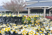 网友凌晨排长队送张雪峰最后一程 苏州市民深情告别