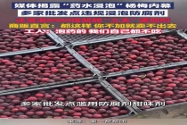 漳州当地杨梅恢复收购 销量回升发全国