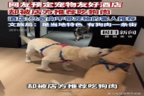 预定宠物友好酒店却被推荐吃狗肉 宠物友好的悖论