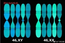 医生回应16岁女孩竟是男儿身 罕见病引发身份认同挑战