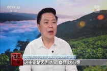 水果味电子烟换马甲网上热销 暗语营销难监管