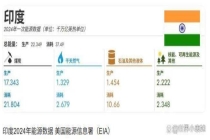 印度崛起最大的困扰是什么 能源短板制约发展