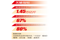 解码农业农村现代化“十五五”丨从“要素驱动”迈向“创新驱动” 培育农业新质生产力