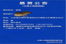 植物园悬赏1万寻越狱卡皮巴拉 萌萌成功“逃跑”