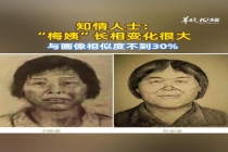 梅姨与画像相似度不到30% 真实样貌变化大