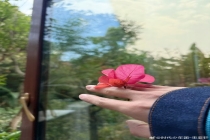 宋亚轩宋小花 温柔形象的浪漫延续