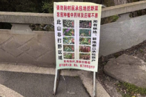 村民称因不文明打野已损失几千 当地称正考虑带游客定点打野