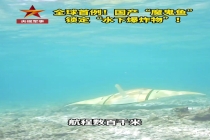 国产“魔鬼鱼”锁定“水下爆炸物” 首次公开现场画面