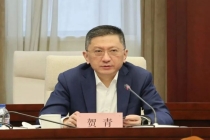 贺青升任上海市副市长 金融背景受关注