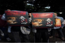 从山姆打包哥处救出小狗状态堪忧 涉嫌虐待引发关注