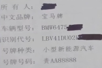 销售帮客户摇出豹子车牌号 幸运时刻引发热议