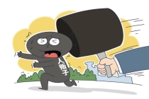 梅姨案主犯张维平等已被执行死刑 关键人物“梅姨”落网