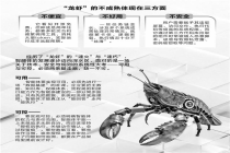 “全民养虾”退潮！龙虾“凉”了，但智能体更火了